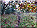 Footpath approaches stile just before Chertsey Road