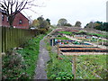 Hebden Royd FP14 passing some new allotments