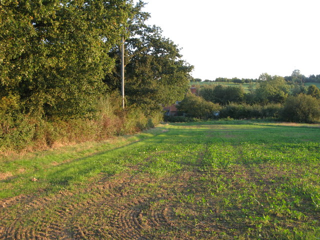 Farmland at Steward's Green