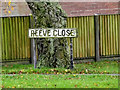 Reeve Close sign