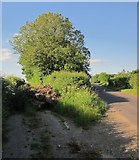 SU2669 : Junction north of Scrope Farm by Derek Harper