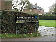 TM1579 : Ransome Avenue sign by Geographer