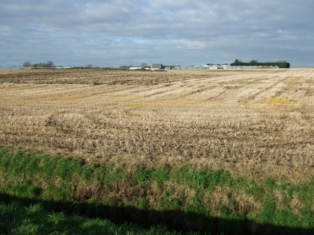 Stubble field off Gorsey Lane