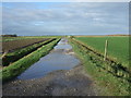SD4022 : Waterlogged farm track off Marsh Road by JThomas
