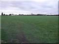 Grazing west of Hall Carr Lane