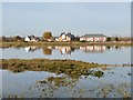 A small inlet off the River Blackwater