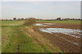 Waterlogged field north of Bournes Green