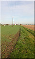 Footpath from Silchester Corner to Stonebridge