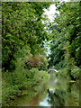 Macclesfield Canal near Hightown, Congleton, Cheshire