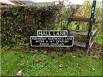 TM1582 : Hall Lane sign by Geographer