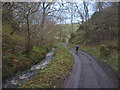 Heggerscales Lane above Coldkeld Bridge