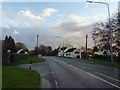 The Black Dog Inn near Camblesforth