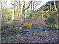 Sowerby Bridge FP538a crossing a stream