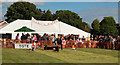 Terrier racing at Frogham Fair