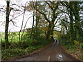 The road to Langford Barton