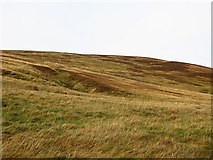 NT6363 : Penshiel Hill by Richard Webb
