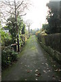 Footpath - Crag Lane