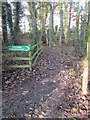 Footpath - Crag Lane