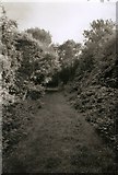 SO5922 : Old railway at Tudorville by John Winder