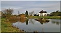 Duck pond at Clayworth Woodhouse