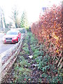 Footpath - Harrogate Road