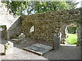 S3227 : Interior of Kilcash ruined church by Humphrey Bolton