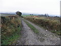 Rough lane, Knockroe