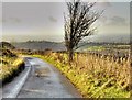 SJ9887 : Bogguard Road, Cobden Edge by David Dixon