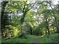 SU2665 : Path into Bedwyn Common by Derek Harper