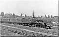 Liverpool - Euston express near Kenton, 1948