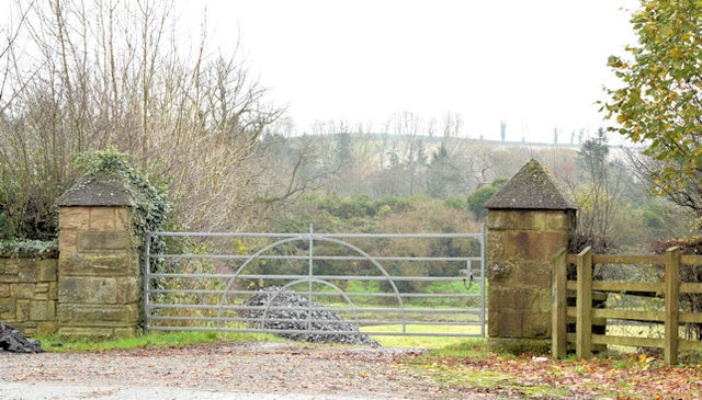 Gate and gateposts near Comber (November 2014)