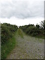 Farm access lane on the west side of Goward Road