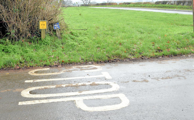 "Stop" road markings, Comber (November 2014)