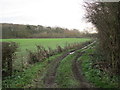 Track to Turtle Hill Wood