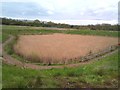 Reed-choked reservoir at Silverdale