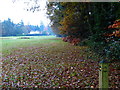 Footpath by trees on golf course