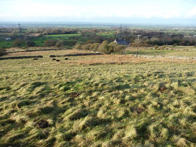 Pasture south-east of Glasfryn, Ceunant