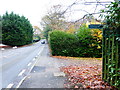 Looking east on Chertsey Road from numberless bridleway