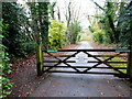 Bridleway in Twelve Oaks Estate