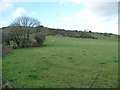 Farmland east of Llwyn Bedw Uchaf [Upper Birch Grove]