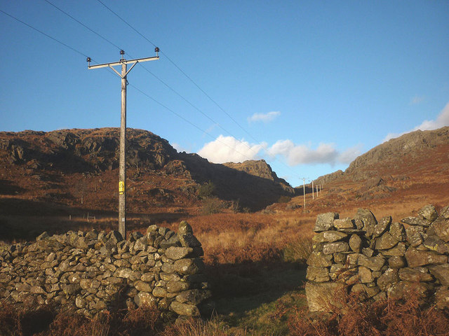 Power lines by Tarn Beck
