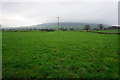 Farmland near Bashall Eaves