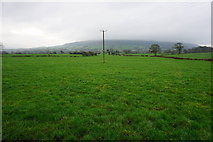 SD6943 : Farmland near Bashall Eaves by Bill Boaden