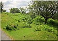 Line of leat, Walkhampton Common