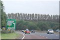 A3 near Burnt Common