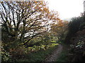 Path to Chepstow at Bulwark