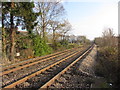 ST3193 : Railway line to south of the crossing at Rose Farm by Gareth James