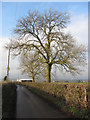 Malthouse Road near Pen-y-Parc Farm