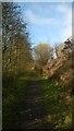 Former railway line, Blaenrhondda