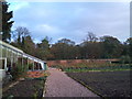 Kitchen garden at Rode Hall